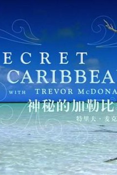 神秘的加勒比
