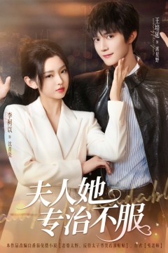 苦情王妃她专治不服