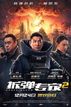 拆弹专家2(国语版)