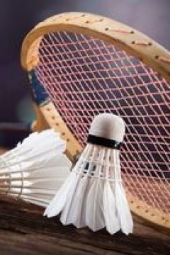 羽毛球男子单打小组赛E组：安东森2-0柯林斯