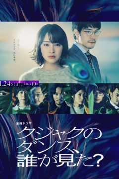 谁看见了孔雀在跳舞