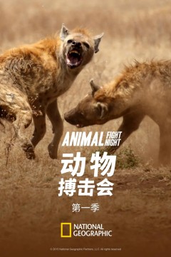 动物搏击会第一季