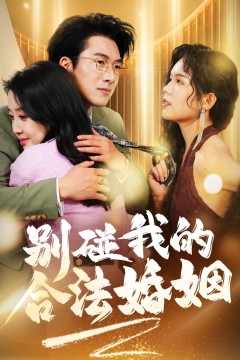 别碰我的合法婚姻