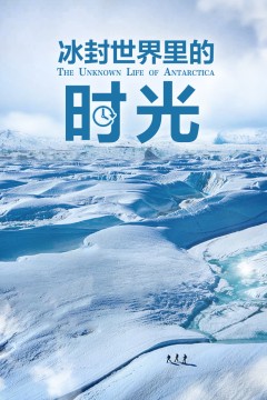 冰封世界里的时光