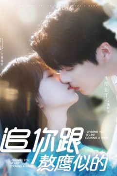 追你跟熬鹰似的