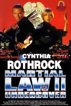 卧底飞龙2 Martial Law II： Undercover
