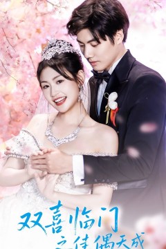 双喜临门之佳偶天成
