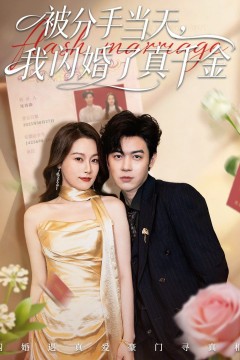 被分手当天我闪婚了真千金(刚分手被美女姐姐拉去领证)