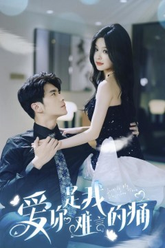 爱你是我难言的痛(对不起我爱你)