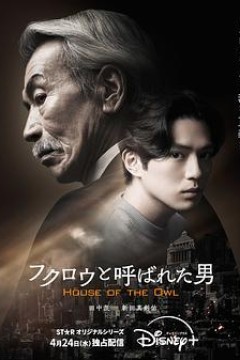 黑幕风云(剧版)