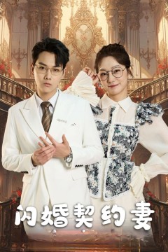 闪婚契约妻(闪婚契约妻为夫来晚了)