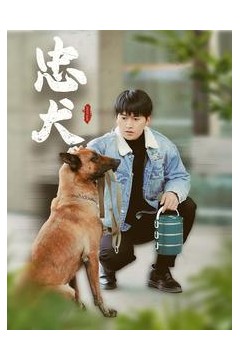 忠犬(短剧版)