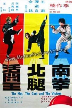 南拳北腿活阎王