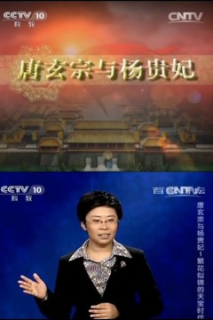 百家讲坛唐玄宗与杨贵妃