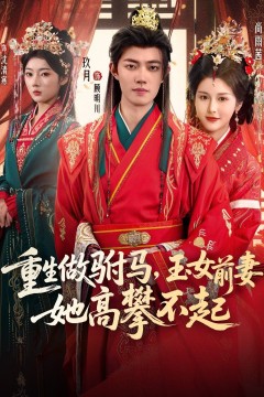 重生做驸马，玉女前妻她高攀不起