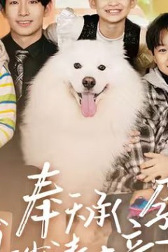 奉天承孕：傅少请接芷(奉天承孕傅少请接芷)