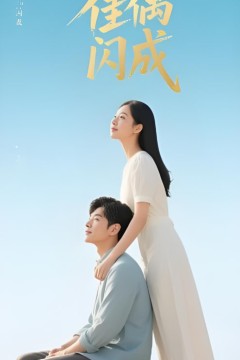 佳偶闪成(假婚真爱)