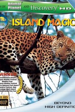 动物星球之神奇岛