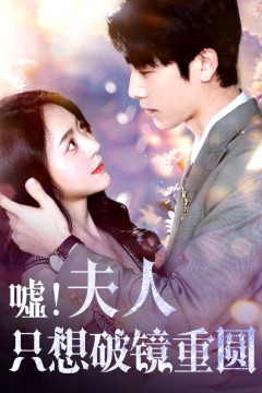 夫人只想破镜重圆