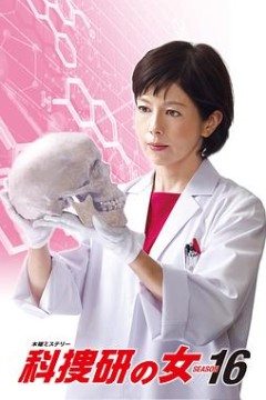 科搜研之女第16季