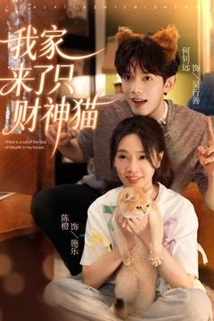 我家来了只财神猫