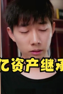 千亿资产继承人