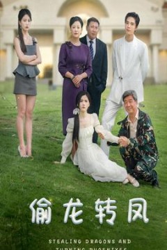 偷龙转凤短剧版