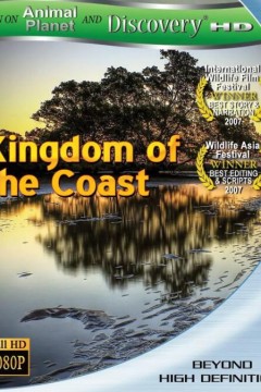 动物星球之海岸王国