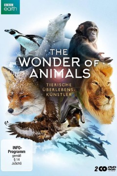 神奇动物大揭秘