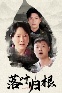 落叶归根2025