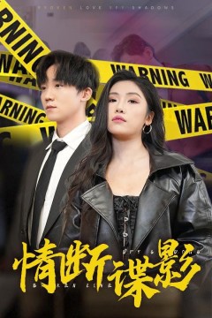 情断谍影(我的特工老婆)