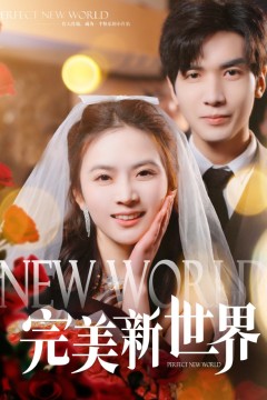 完美新世界