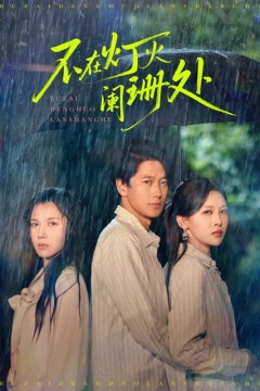 新版不在灯火阑珊处