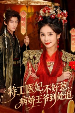 特工医妃不好惹，病娇王爷到处追