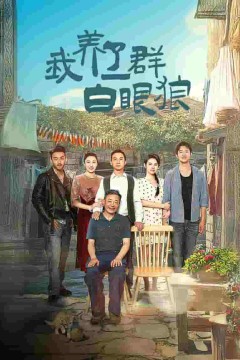 家家有本难念的经短剧版