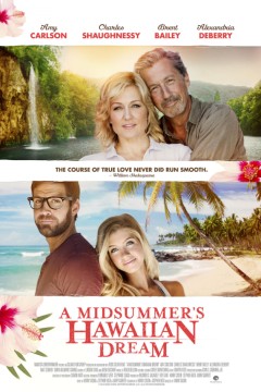 仲夏的夏威夷梦