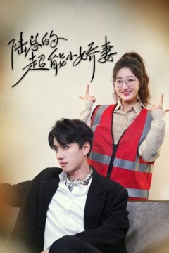 陆总的超能小娇妻(余生只护你)(踮起脚尖的爱)