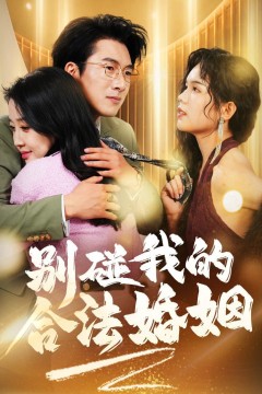 别碰我的合法婚姻&天大地大老婆最大