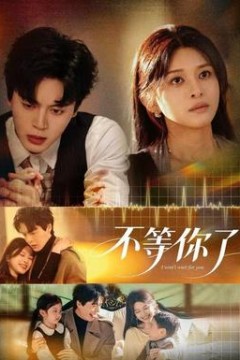 不等你了