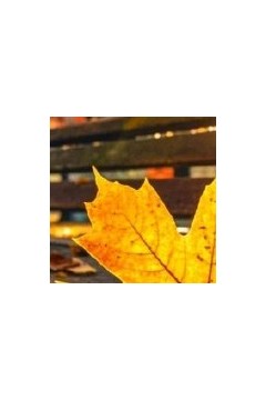 泪成河，唤母归