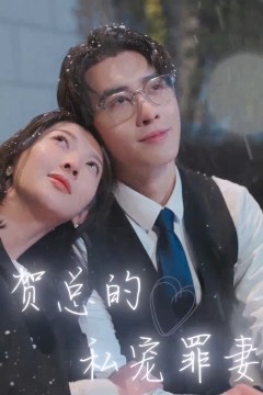 贺总的私宠罪妻