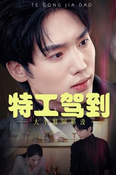 特工驾到大小姐闹够没