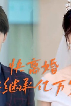 快离婚我要回家继承亿万家产