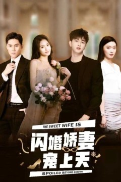 闪婚娇妻宠上天