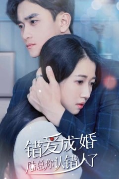 错爱成婚：陆总你认错人了