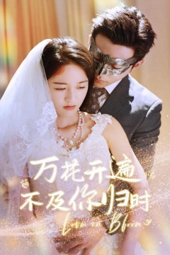 万花开遍不及你归时