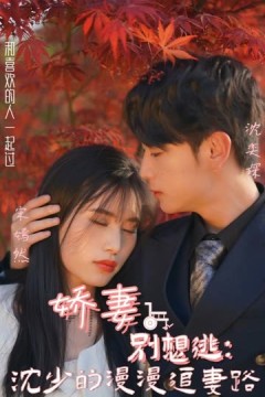 娇妻别想逃：沈少的漫漫追妻路