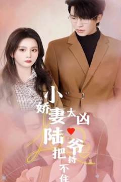 小娇妻太凶陆爷把持不住了