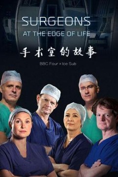 外科医生：生命边缘第二季
