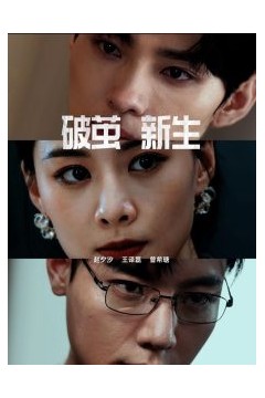 破茧新生